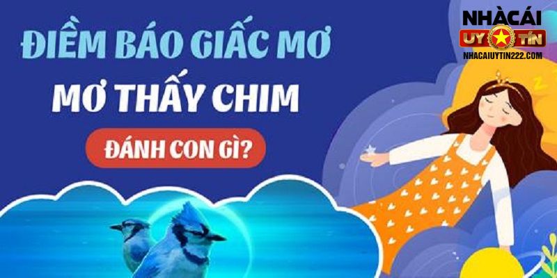 Con số gắn liền với giấc mơ thấy chim