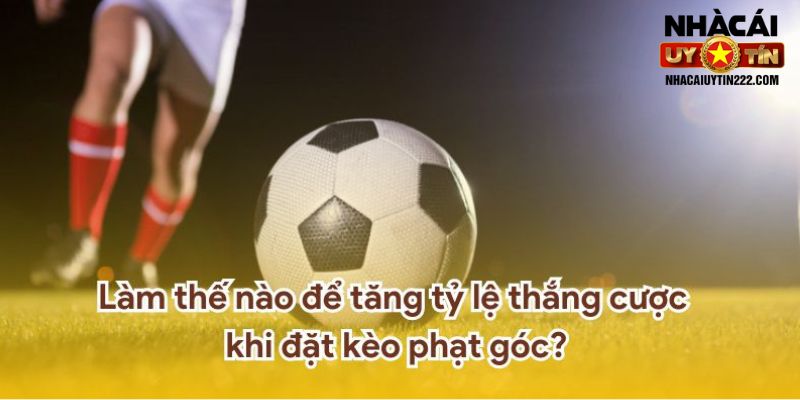 Làm thế nào để tăng tỷ lệ thắng cược khi đặt kèo phạt góc?