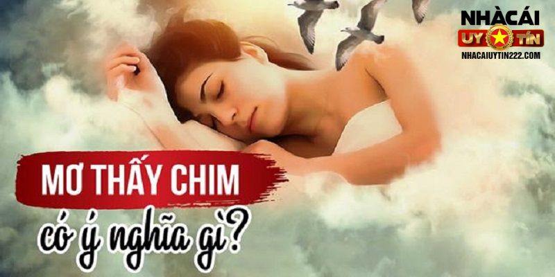 mơ thấy chim điềm báo gì