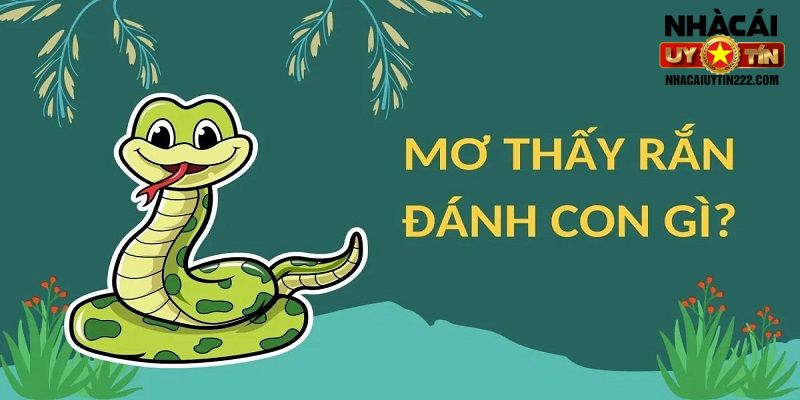 Mơ thấy rắn đánh con gì dễ trúng cho người chơi lô đề?