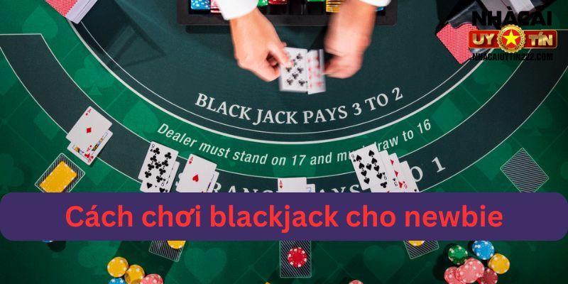 Với newbie thì cách chơi blackjack là gì